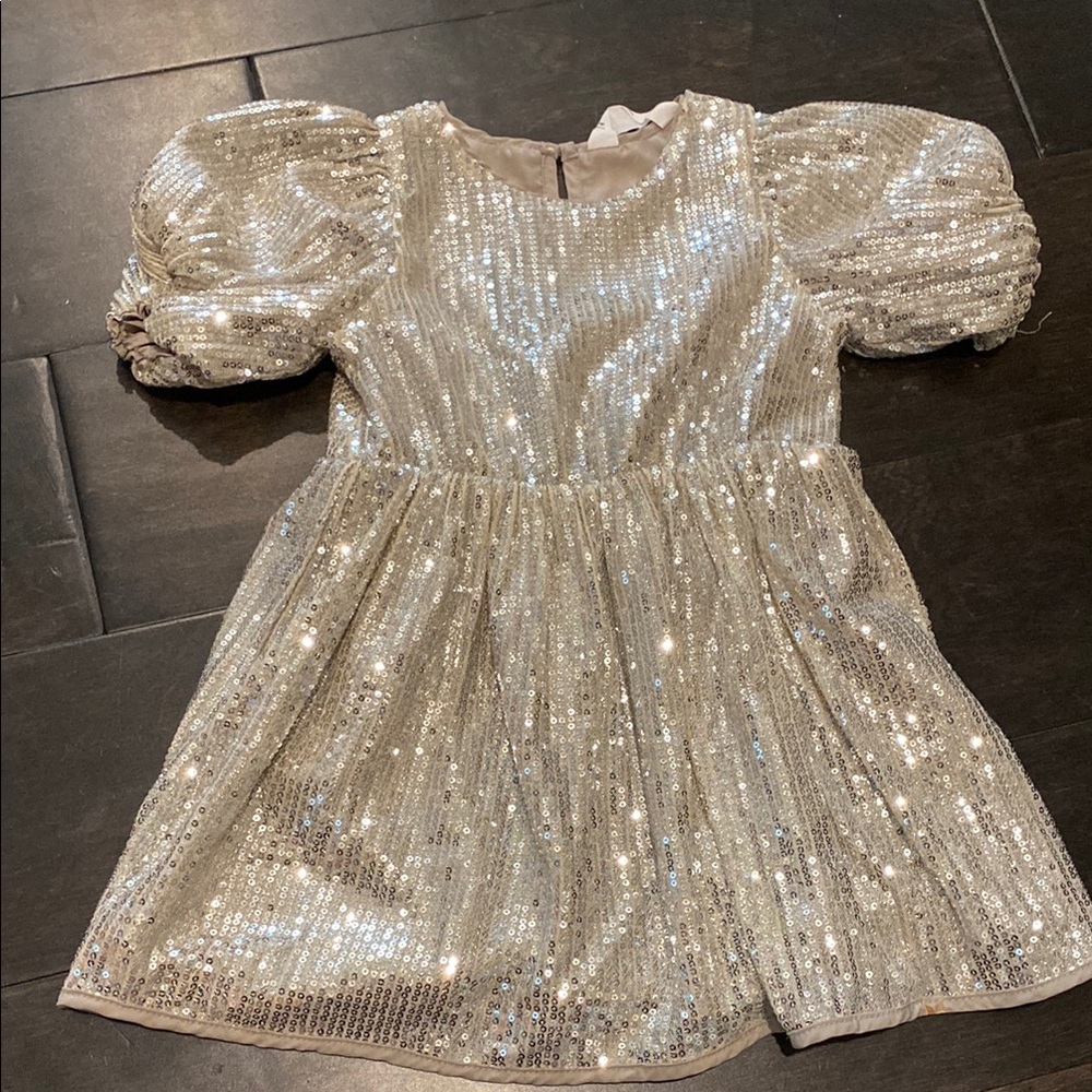 H&M Shimmering Silver Sequin Top